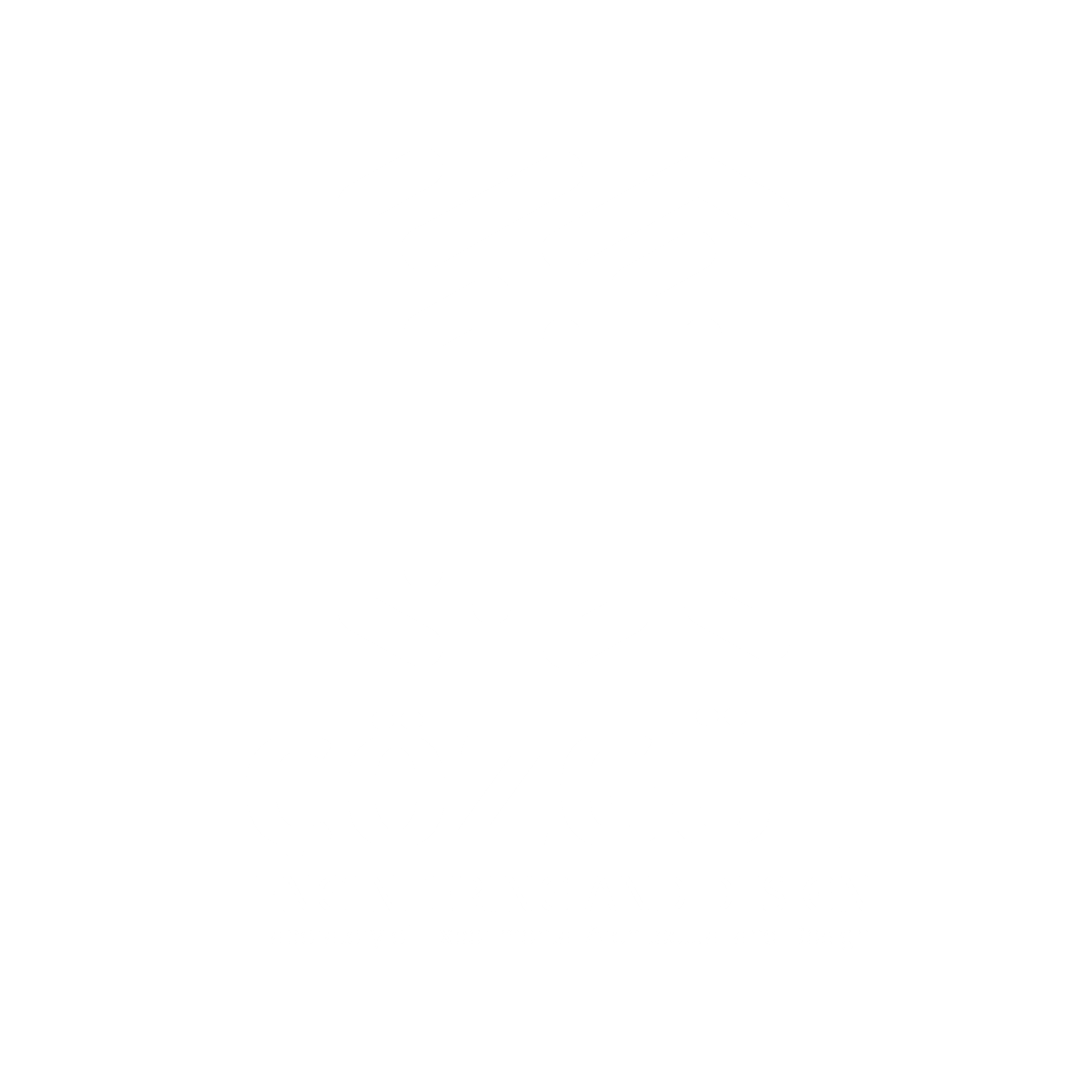 Chozgut — Laboratory of Experimental Engineering and Design